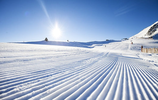 Ski goggles